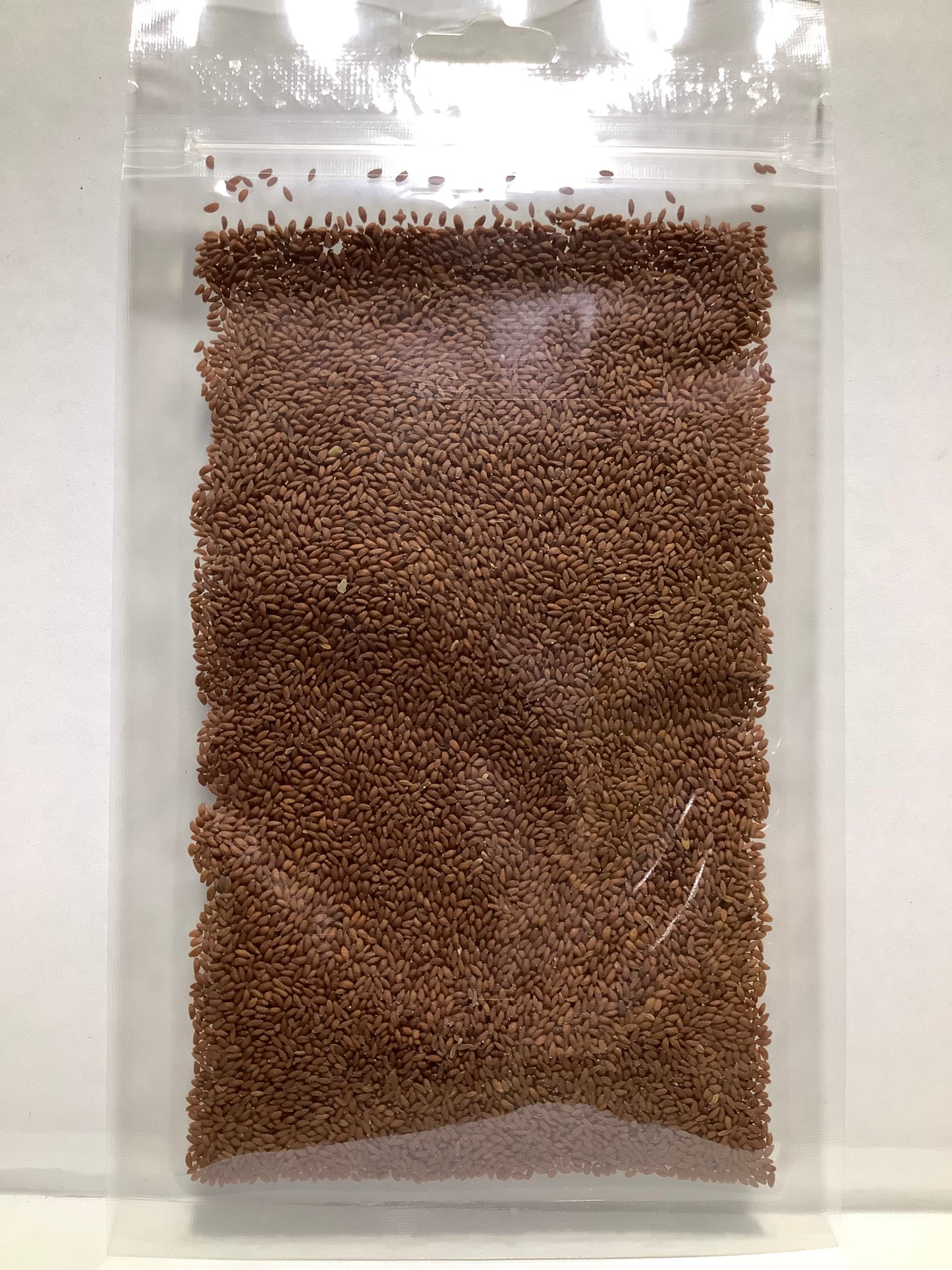 Iraqi Garden Cress Seed