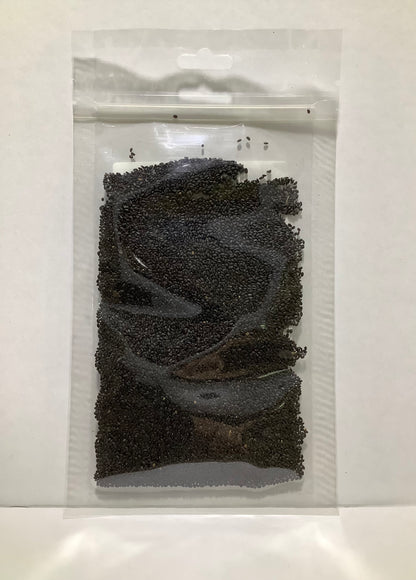 Iraqi Basil Seed Pack